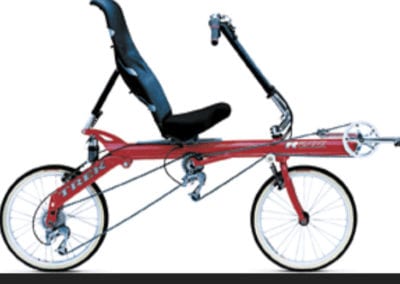 Image of Recumbent Trek