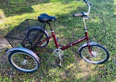 Image of Trike Pashley