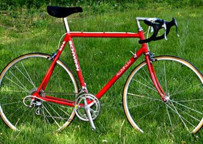 Image of Schwinn 434