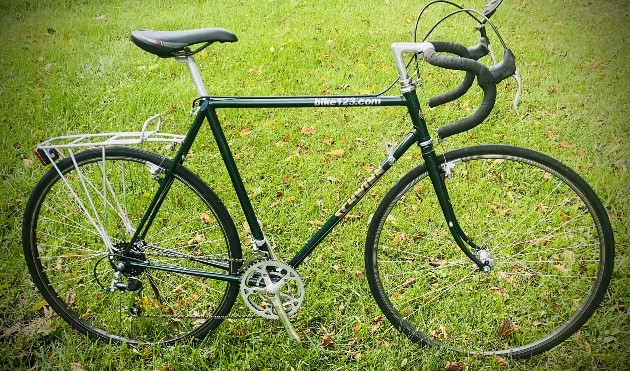 Schwinn 2024 voyageur 1