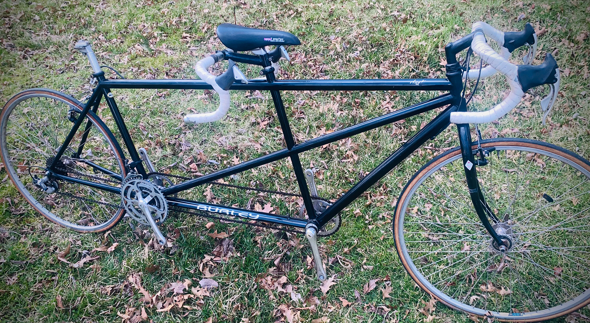 Burley store tandem bike