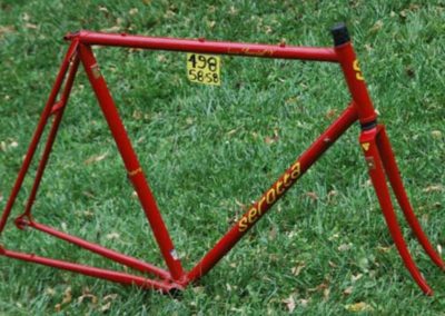 Serotta Bike Frame