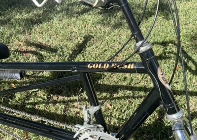 5023 Recumbent Gold Rush medium